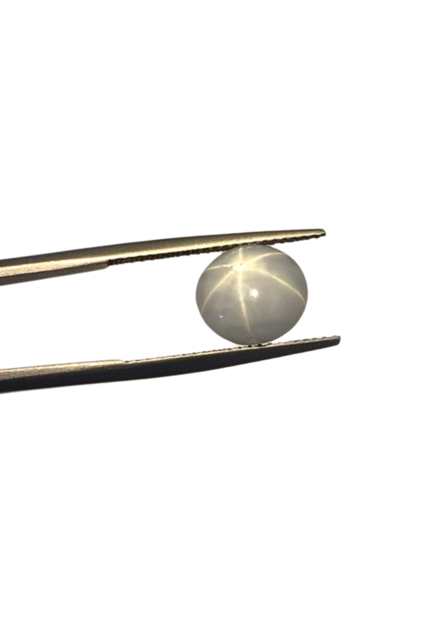 Star Sapphire Un-Heat - Cabochon Round 9.58-8.49MM - 4.79 Cts.