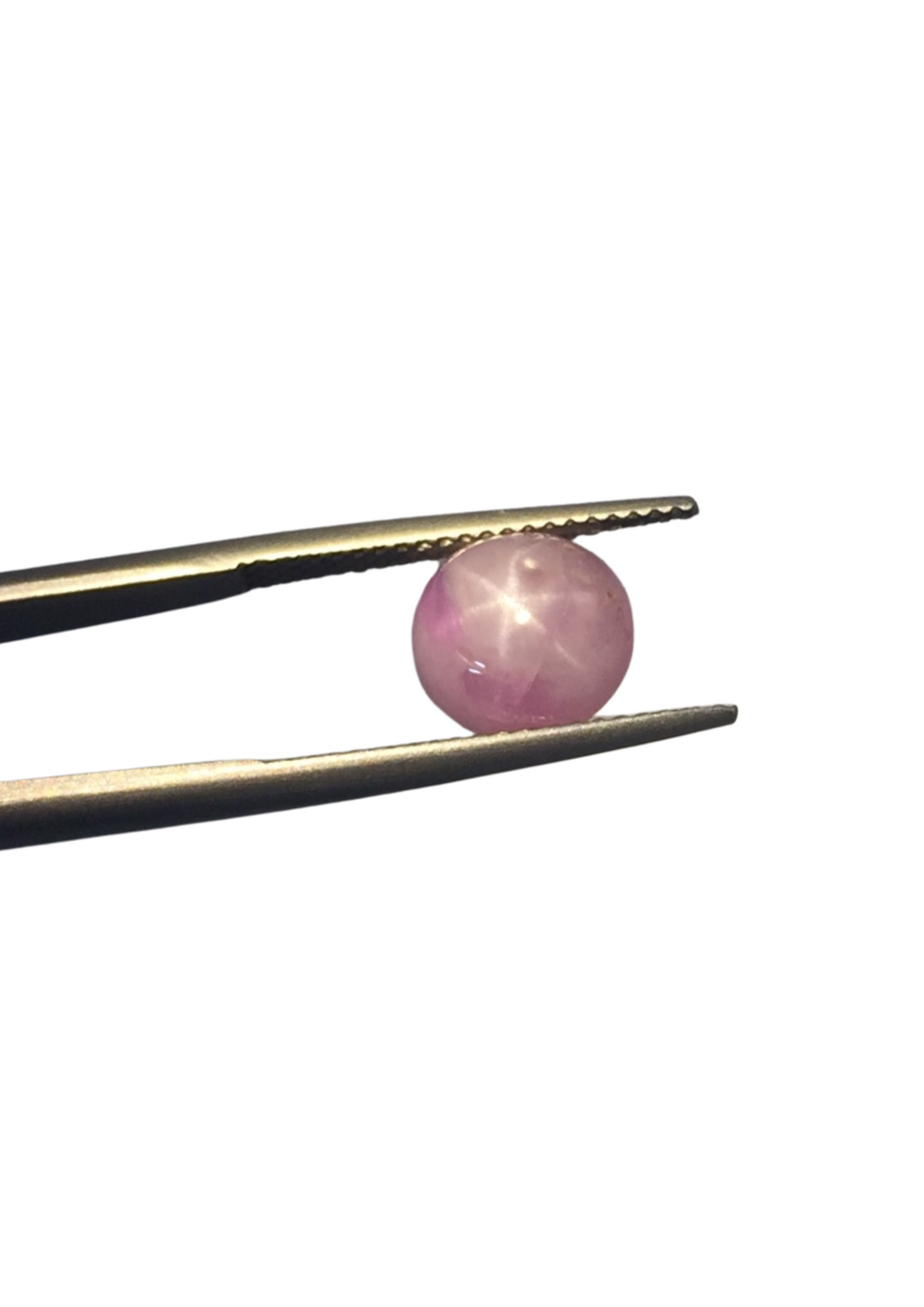 Star Sapphire - Cabochon Round 8.95-8.64MM - 5.39 Cts.